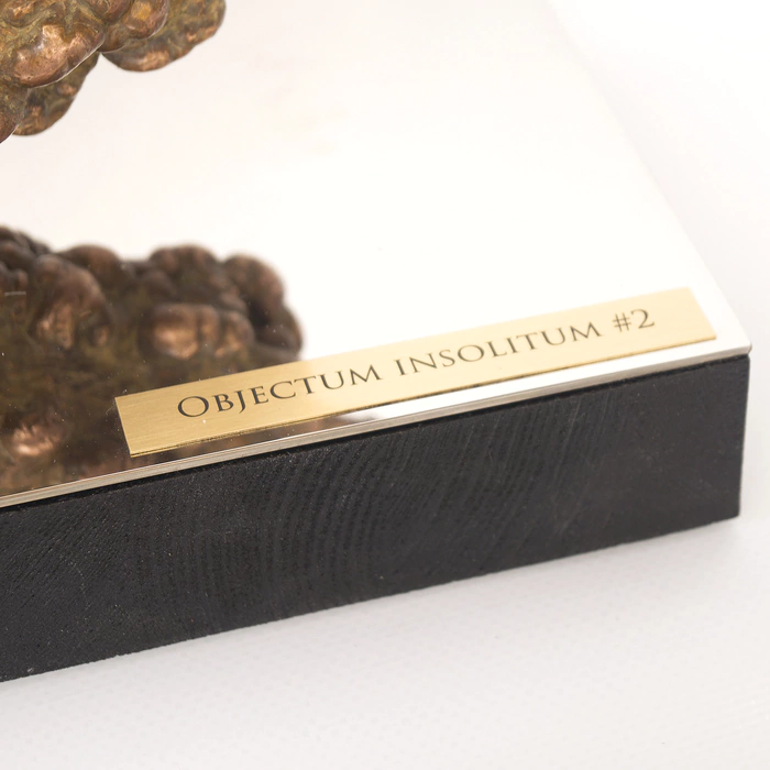 Author's bronze sculpture "Unidentified object #2"